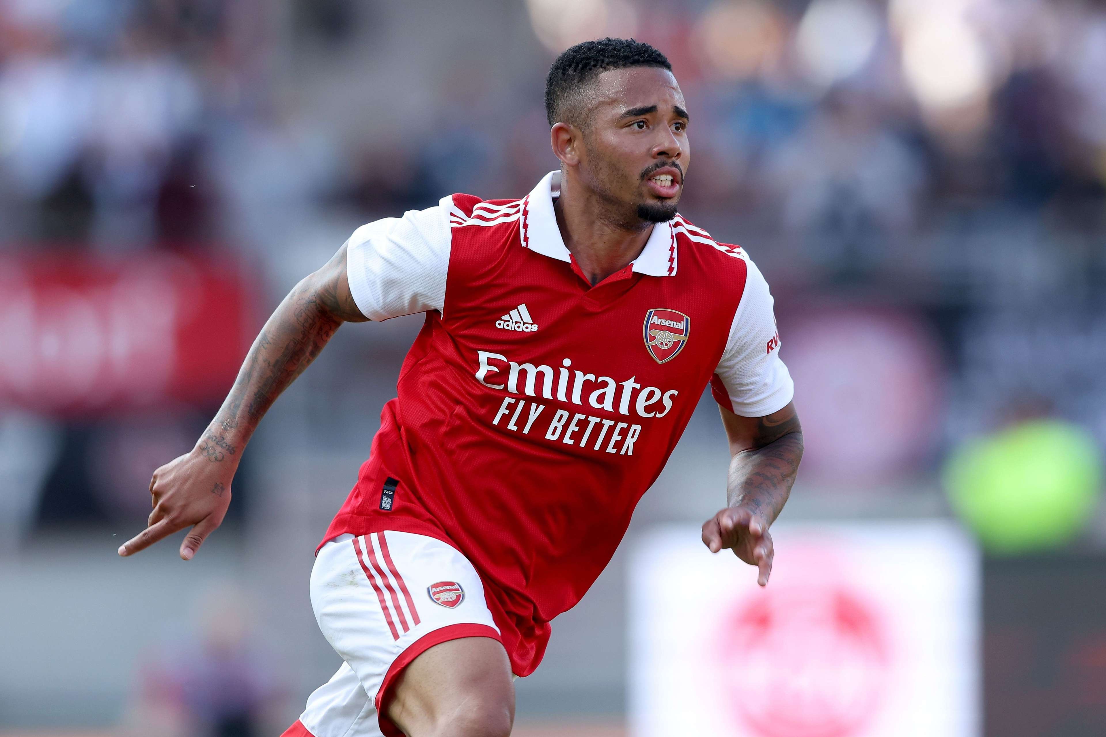 供了新的视 供了新的视