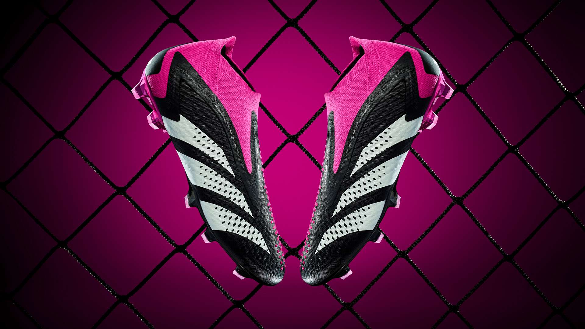 使得他们在 使得他们在